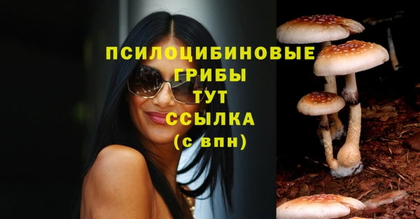 мяу мяу мука Богородицк