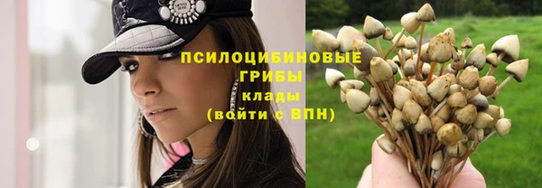 твердый Белокуриха