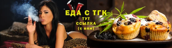 МДПВ Богородск